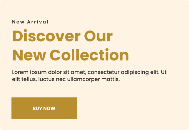 Discover Our New Collection