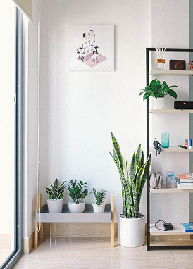 Shelf setup